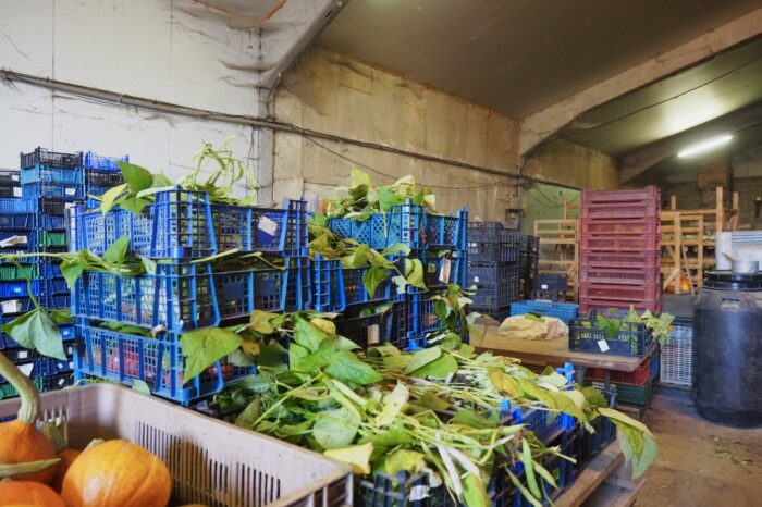 De la ferme à l'assiette : un combat pour le Bio et la justice sociale