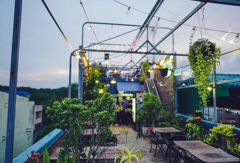 Toujours plus hauts, toujours plus verts, comment les rooftops lillois végétalisent la ville