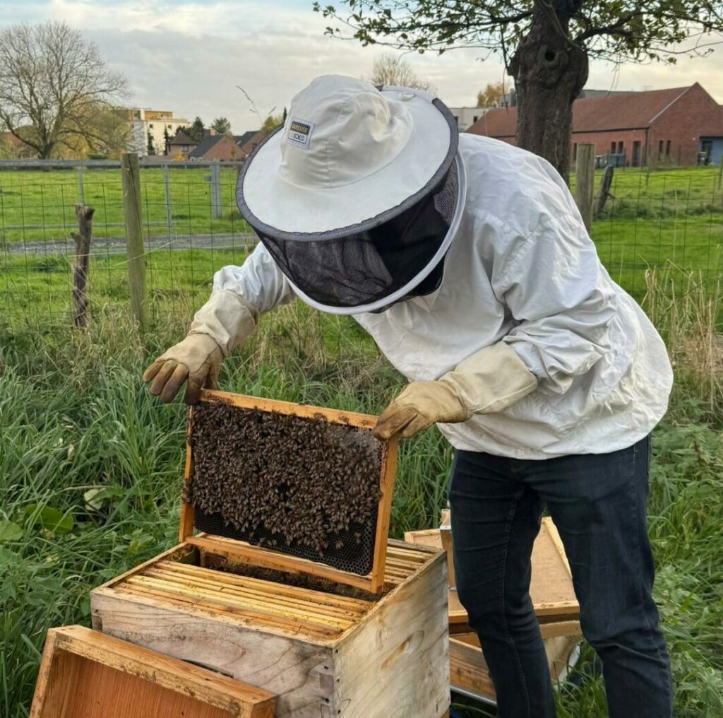 Entretien d'une ruche.
